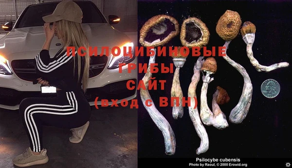 прущая мука Зерноград