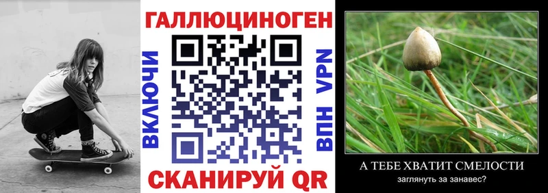 Галлюциногенные грибы Cubensis  Купить  Заводоуковск 